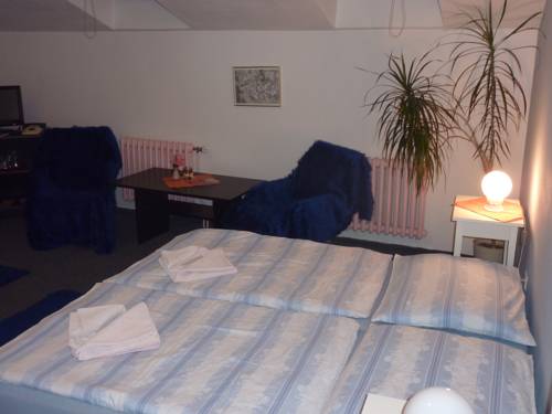 Imagen de la habitación del Hotel Savorsky, JIHLAVA. Foto 7