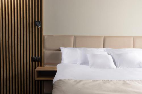 Imagen general del Hotel Savorsky, JIHLAVA. Foto 5
