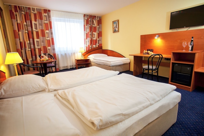 Imagen de la habitación del Hotel Savoy, Ceske Budejovice. Foto 5