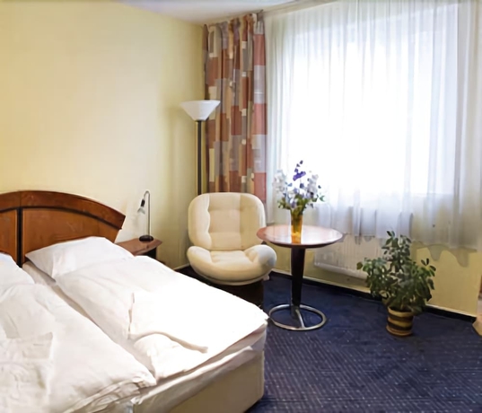 Imagen de la habitación del Hotel Savoy, Ceske Budejovice. Foto 11