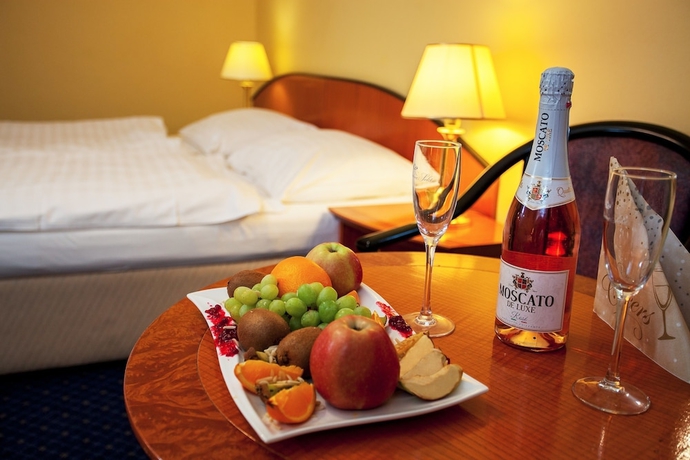 Imagen de la habitación del Hotel Savoy, Ceske Budejovice. Foto 16