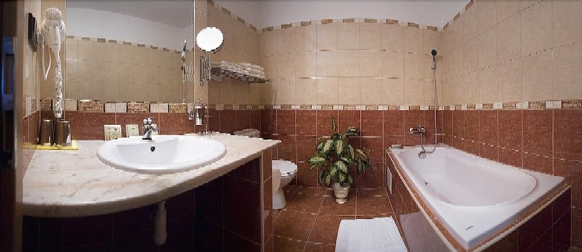 Imagen de la habitación del Hotel Savoy, Ceske Budejovice. Foto 17