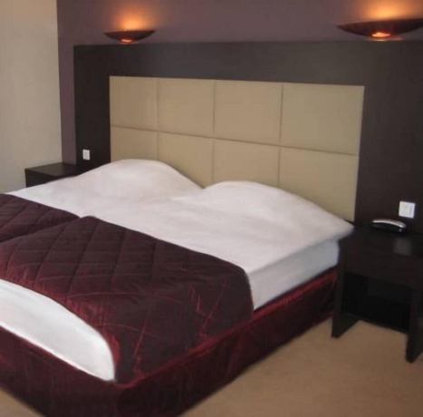 Imagen de la habitación del Hotel Savoy Evian. Foto 2