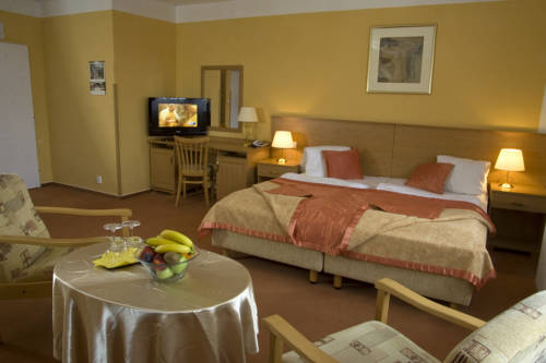 Imagen de la habitación del Hotel Savoy Spa & Kurhotel. Foto 7