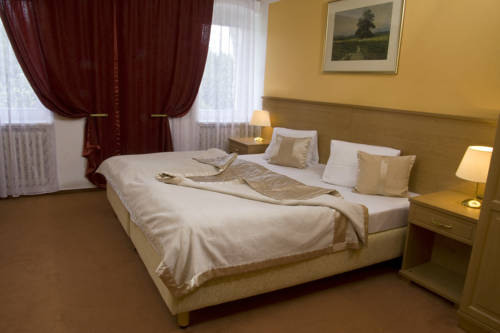 Imagen de la habitación del Hotel Savoy Spa & Kurhotel. Foto 12