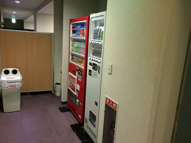 Imagen de los interiores del Hotel Sawa, Fujikawaguchiko. Foto 15