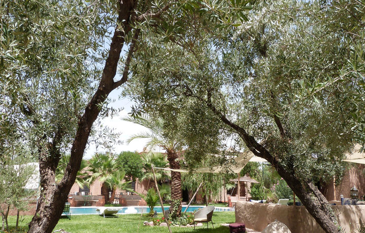 Imagen de la piscina del Hotel Sawadi. Foto 15