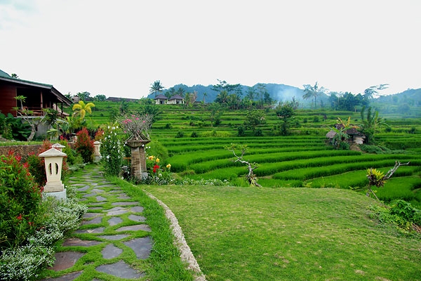 Imagen general del Hotel Sawah Indah Villa. Foto 6
