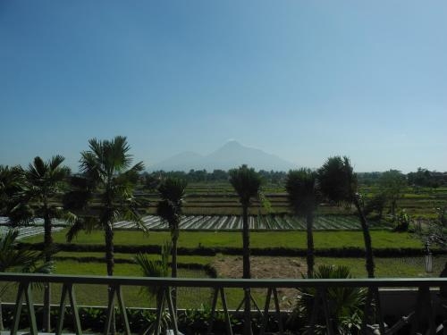 Imagen de la habitación del Hotel Sawah Joglo Villas. Foto 10