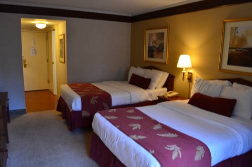 Imagen de la habitación del Hotel Sawmill Creek By Cedar Point Resorts. Foto 4