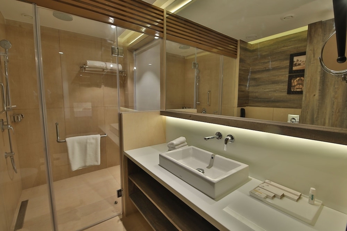 Imagen de la habitación del Hotel Sayaji Rajkot. Foto 17