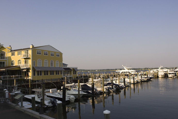Imagen de la habitación del Hotel Saybrook Point Resort and Marina. Foto 10