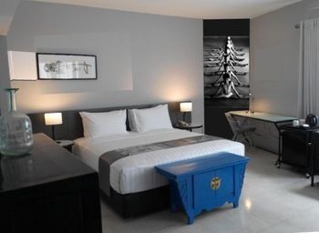 Imagen de la habitación del Hotel Scala Bed and Beyond. Foto 16