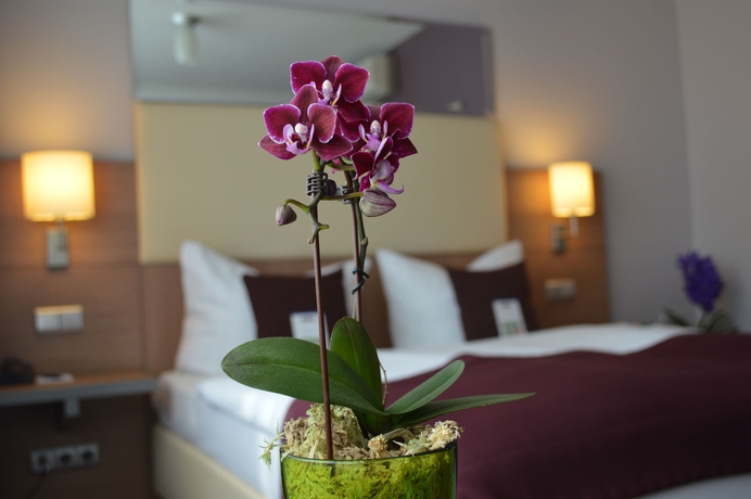 Imagen de la habitación del Hotel Scala Frankfurt City. Foto 3