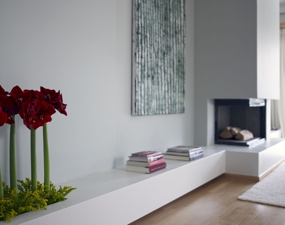 Imagen de los interiores del Hotel Scale Suites. Foto 12