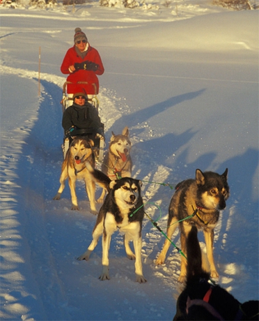 Imagen general del Hotel Scandic Lillehammer. Foto 4