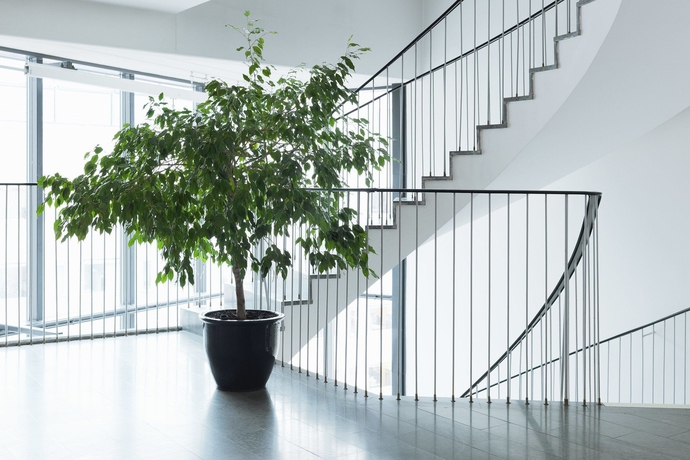 Imagen de los interiores del Hotel Scandic Park. Foto 13