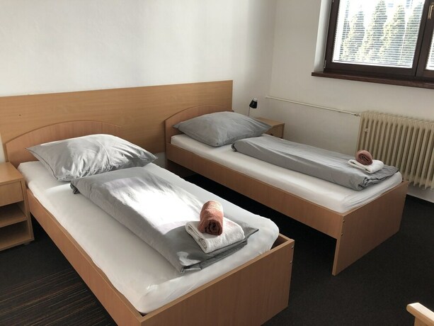 Imagen de la habitación del Hotel Šport Bôrik. Foto 12