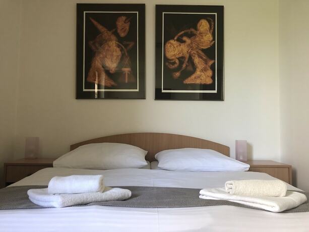 Imagen de la habitación del Hotel Šport Bôrik. Foto 38