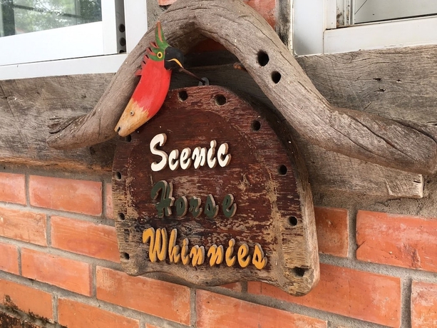 Imagen de los interiores del Hotel Scenic Riverside Resort. Foto 14