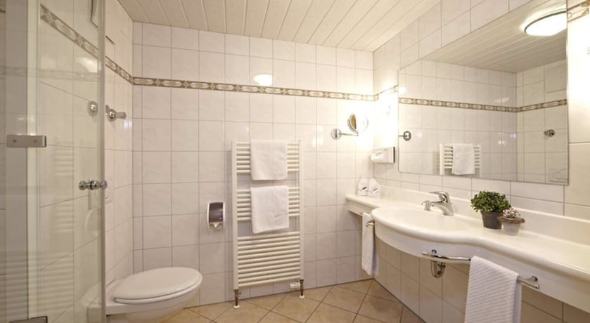 Imagen de la habitación del Hotel Schatten. Foto 15