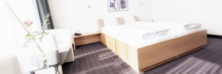 Imagen de la habitación del Hotel Schatzmann. Foto 3