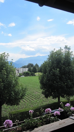 Imagen de la habitación del Hotel Schatzmann. Foto 18
