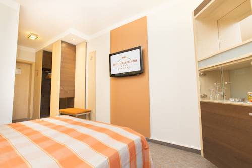 Imagen de la habitación del Hotel Scheffelh&ouml;he. Foto 3