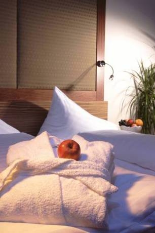 Imagen general del Hotel Scheffer's. Foto 7