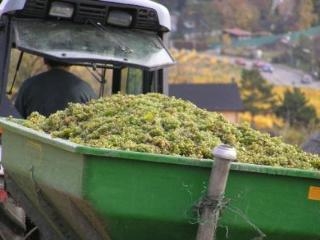 Imagen general del Hotel Schild Vienna. Foto 10