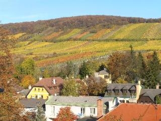 Imagen general del Hotel Schild Vienna. Foto 11