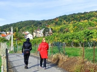 Imagen general del Hotel Schild Vienna. Foto 12