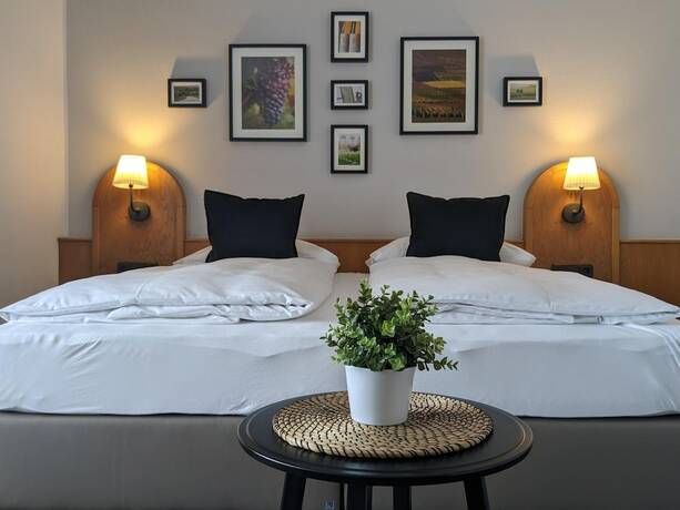 Imagen general del Hotel Schlafgut Domhof. Foto 9