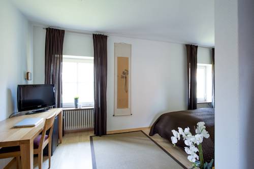 Imagen de la habitación del Hotel Schloss Heinsheim. Foto 4