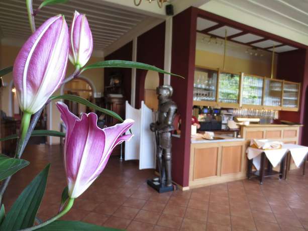 Imagen del bar/restaurante del Hotel Schloss Hornberg. Foto 4
