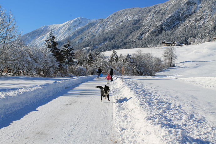 Imagen del bar/restaurante del Hotel Schlossblick, Tirol Austríaco. Foto 8