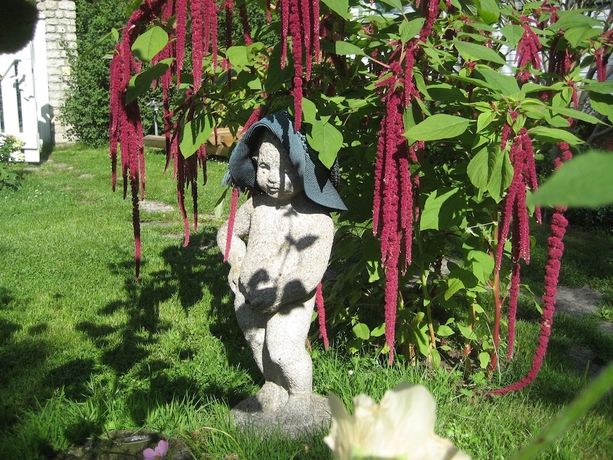Imagen de los exteriores del Hotel Schlossgarten Am Park Sanssouci. Foto 12