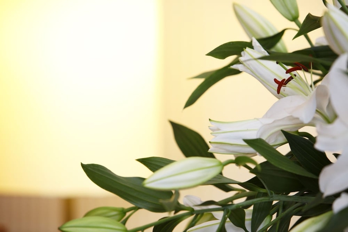 Imagen de los interiores del Hotel Schlosshotel Karlsruhe. Foto 18