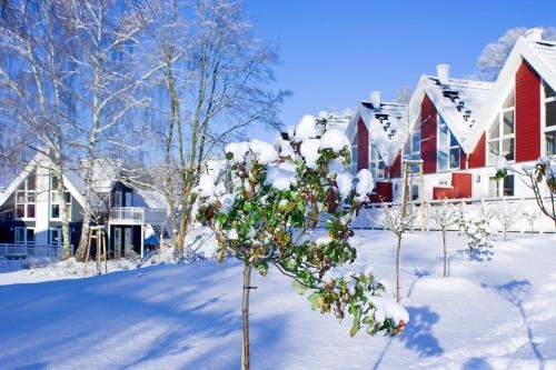 Imagen de la habitación del Hotel Schlosspark Bad Saarow. Foto 6