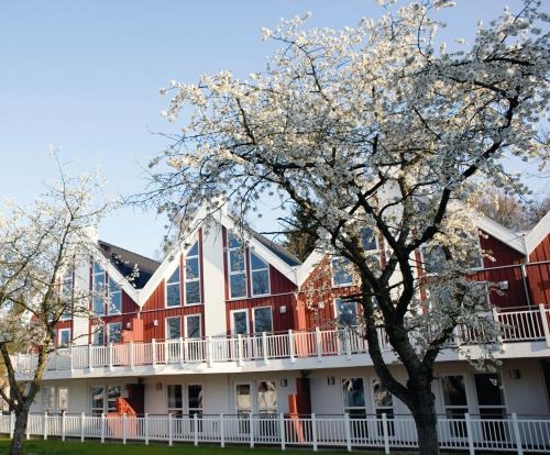 Imagen de la habitación del Hotel Schlosspark Bad Saarow. Foto 9