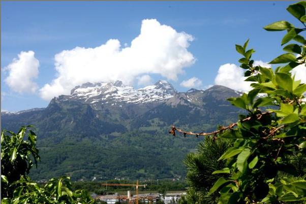 Imagen general del Hotel Schlosswald. Foto 5