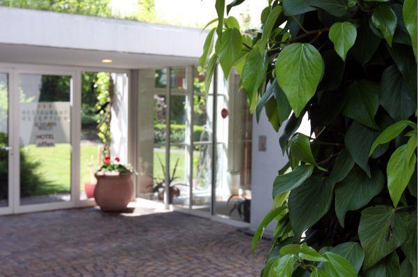 Imagen general del Hotel Schlosswald. Foto 8