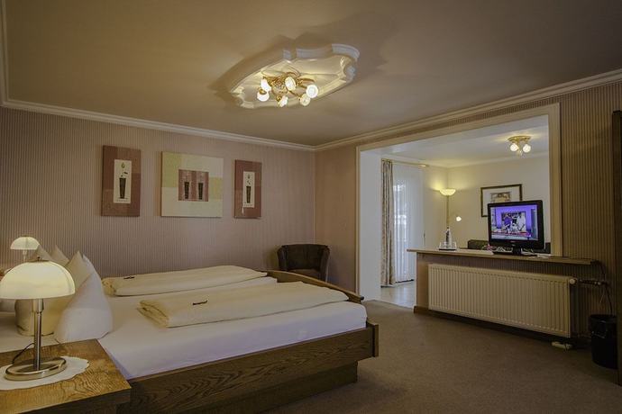 Imagen de la habitación del Hotel Schneider. Foto 3