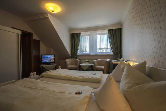 Imagen de la habitación del Hotel Schneider. Foto 14