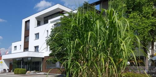 Imagen general del Hotel Scholz. Foto 4