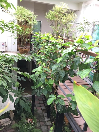 Imagen de los exteriores del Hotel Schon. Foto 12