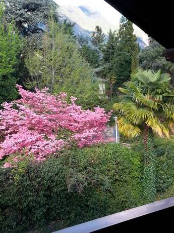 Imagen de la habitación del Hotel Sch&ouml;nbrunn, Merano. Foto 8