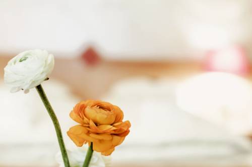 Imagen de la habitación del Hotel Schrofenstein. Foto 6