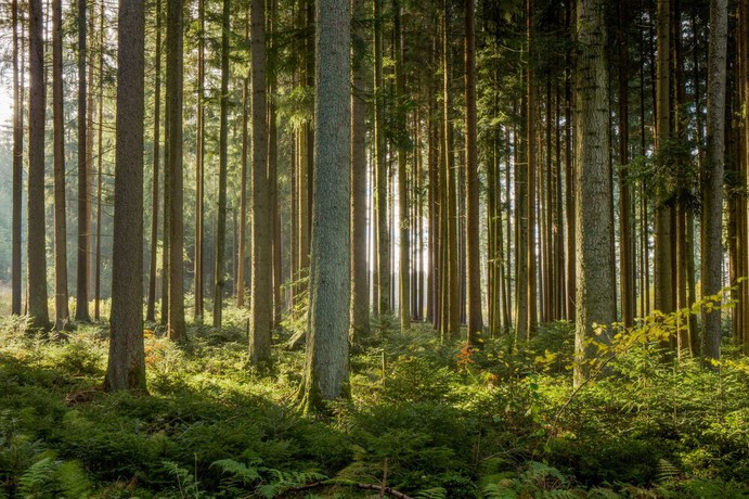 Imagen general del Hotel Schr&ouml;der and Restaurant. Foto 2