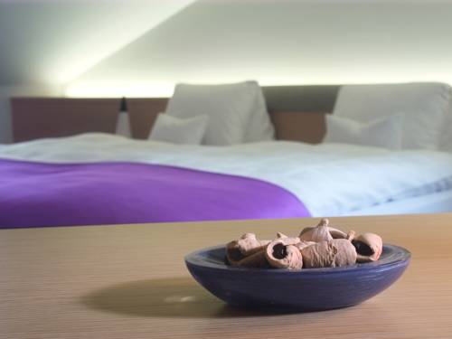 Imagen de la habitación del Hotel Schützen Rheinfelden. Foto 7